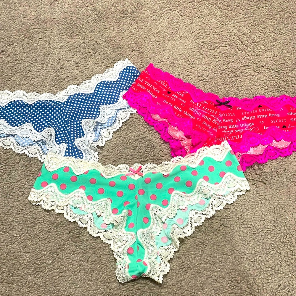 NWT sexy little things cheeky L